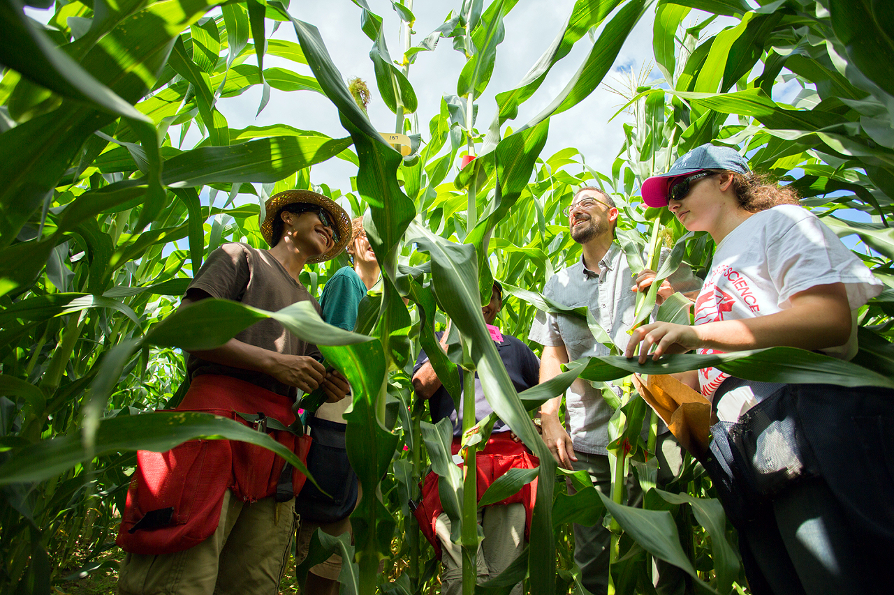 UD Plant Science students conduct field research UD Plant Science students conduct field research